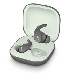 Beats Fit Pro True Wireless Earbuds Sage Grey MK2J3ZM/A цена и информация | Наушники | pigu.lt