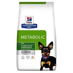 Hill"S PD Canine Metabolic Mini suaugusiems mažų veislių šunims, 1 kg kaina ir informacija | Sausas maistas šunims | pigu.lt