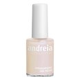 Nagų lakas Andreia Nº 91, 14 ml