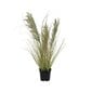 Dirbtinė žolė pampas 804040, 60cm kaina ir informacija | Dirbtinės gėlės | pigu.lt
