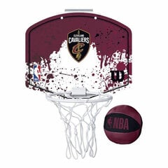 Баскетбольная корзина Wilson WTBA1302CLE цена и информация | Баскетбольные щиты | pigu.lt