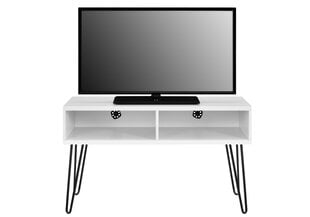 Televizoriaus spintelė Ameriwood Home Owen, balta kaina ir informacija | TV staliukai | pigu.lt