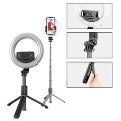 Asmenukių lazda su žiedine lempa Tripod kaina ir informacija | Asmenukių lazdos (selfie sticks) | pigu.lt