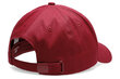 Kepurė su snapeliu vyrams 4F H4L22 CAM001 цена и информация | Vyriški šalikai, kepurės, pirštinės | pigu.lt