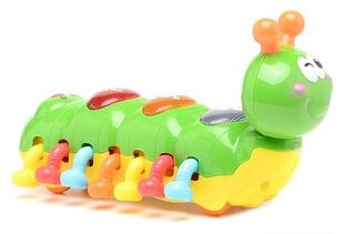 Веселая гусеница со звуками Play Go Infant & Toddler, 2222 цена и информация | Игрушки для малышей | pigu.lt