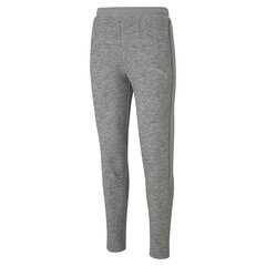 Laisvalaikio kelnės vyrams Puma Evostripe Pants Medium Gray Heat 58581303, pilkos spalvos kaina ir informacija | Vyriškos kelnės | pigu.lt