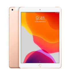 iPad 7 10.2" 32GB WiFi + Cellular, Gold (подержанный, состояние A) цена и информация | Планшеты | pigu.lt