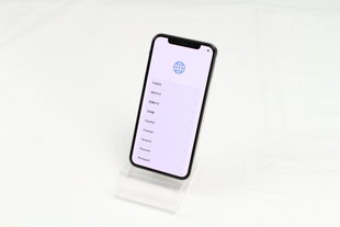 iPhone X, 64GB Silver (atnaujintas, būklė A) kaina ir informacija | Mobilieji telefonai | pigu.lt