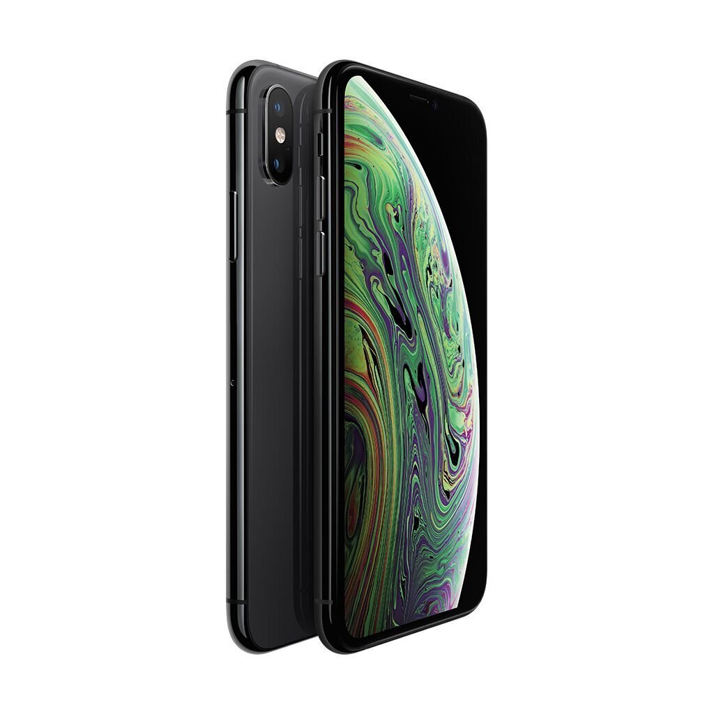 Apple iPhone XS 64GB Gray kaina ir informacija | Mobilieji telefonai | pigu.lt