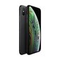 Apple iPhone XS 64GB Gray kaina ir informacija | Mobilieji telefonai | pigu.lt