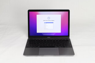 MacBook 2017 Retina 12" - Core m3 1.2GHz / 8GB / 256GB SSD / SWE / Space Gray (atnaujintas, būklė A) kaina ir informacija | Nešiojami kompiuteriai | pigu.lt