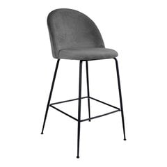 Комплект из 2-х стульев House Nordic Lausanne, серый цена и информация | Стулья для кухни и столовой | pigu.lt