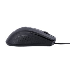 Maxlife Home Office MXHM-01 optical mouse 1000 DPI 1,2 m black цена и информация | Мыши | pigu.lt