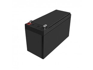 Rechargeable Battery AGM VRLA Green Cell AGM50 12V 10Ah (for UPS, toy car, lawn mower) цена и информация | Akumuliatoriai | pigu.lt