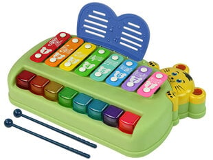 Vaikiškas spalvotas fortepijonas - ksilofonas kaina ir informacija | Lavinamieji žaislai | pigu.lt