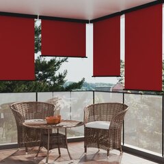 vidaXL Šoninė balkono markizė, raudonos spalvos, 117x250cm kaina ir informacija | Skėčiai, markizės, stovai | pigu.lt