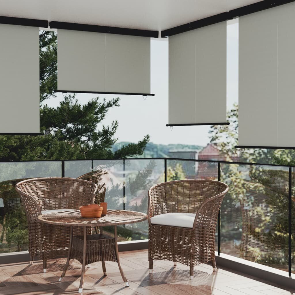 vidaXL Šoninė balkono markizė, pilkos spalvos, 160x250cm kaina ir informacija | Skėčiai, markizės, stovai | pigu.lt