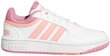 Sportiniai batai paaugliams Adidas Hoops GW0418 kaina ir informacija | Sportiniai batai vaikams | pigu.lt