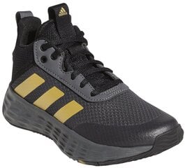 Детские кроссовки Adidas Ownthegame 2.0 K GZ3381/1.5, серые цена и информация | Детская спортивная обувь | pigu.lt