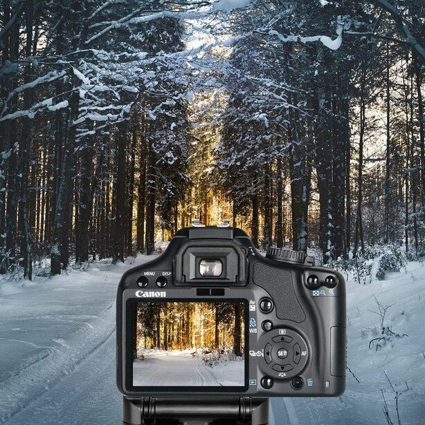 Priedas fotoaparatui Neewer Z-Shaped, 10092550 kaina ir informacija | Priedai fotoaparatams | pigu.lt