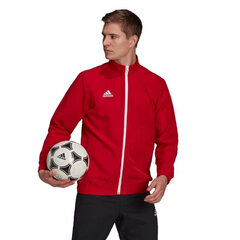 Мужской свитер Adidas Entrada 22 H57536, красный цена и информация | Футбольная форма и другие товары | pigu.lt