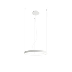 Chandelier RIO 55 white 3000K THORO TH.105 цена и информация | Люстры | pigu.lt