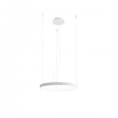 Chandelier RIO 55 white 3000K THORO TH.105 цена и информация | Люстры | pigu.lt