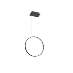 Pendant lamp RIO 55 black 3000K THORO TH.114 цена и информация | Люстры | pigu.lt