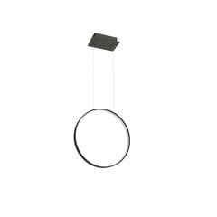 Pendant lamp RIO 55 black 4000K THORO TH.116 цена и информация | Люстры | pigu.lt