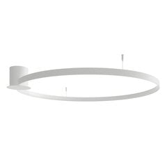 Plafond RIO 110 white 4000K THORO TH.135 цена и информация | Потолочные светильники | pigu.lt