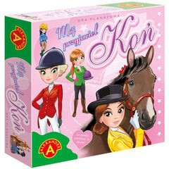 Žirgų žaidimas mergaitėms kaina ir informacija | Lavinamieji žaislai | pigu.lt