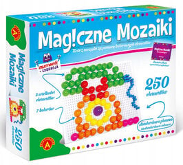Magic Mozaika 250 Elementų kaina ir informacija | Lavinamieji žaislai | pigu.lt