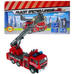 Пожарная Машина С Польским Голосом цена и информация | Игрушки для мальчиков | pigu.lt