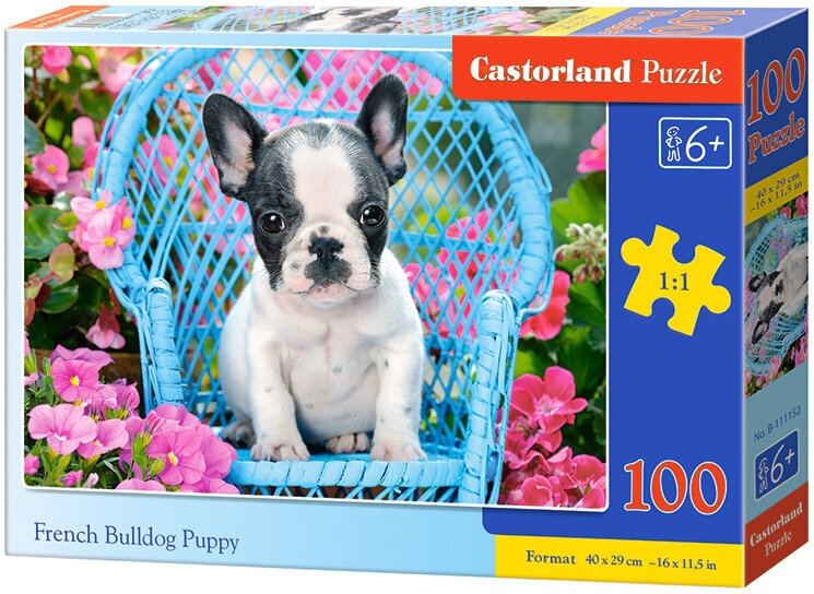 Prancūzų Buldogo Šuniukas * 100 * цена и информация | Dėlionės (puzzle) | pigu.lt