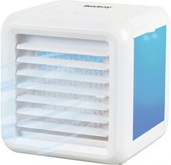 Beldray Охладитель воздуха Ice Cube Plus EH3139V2VDE цена и информация | Вентиляторы | pigu.lt