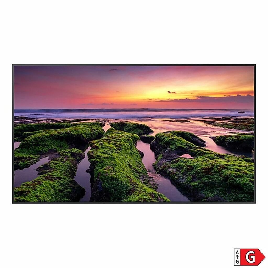 Samsung LH65QBBEBGCXEN kaina ir informacija | Monitoriai | pigu.lt