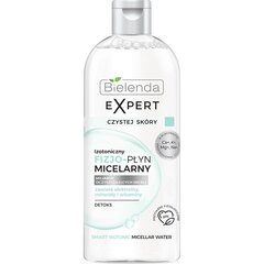 Изотоническая мицеллярная вода Bielenda Expert Clean Skin Detox, 400мл цена и информация | Средства для очищения лица | pigu.lt