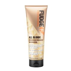 Освежающий шампунь для светлых волос Fudge All Blonde Color Boost Shampoo, 250 мл цена и информация | Шампуни | pigu.lt