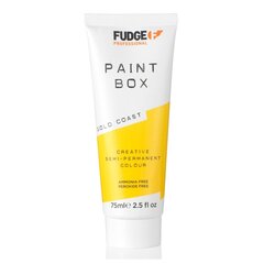 Pusiau ilgalaikiai plaukų dažai Fudge Paintbox Creative Semi-Permanent Colour Gold Coast, 75ml kaina ir informacija | Plaukų dažai | pigu.lt