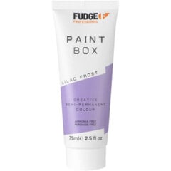 Pusiau ilgalaikiai plaukų dažai Fudge Professional Paint Box Lilac Frost, 75 ml kaina ir informacija | Plaukų dažai | pigu.lt