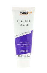 Pusiau ilgalaikiai plaukų dažai Fudge Paintbox Creative Semi-Permanent Colour Purple People, 75ml kaina ir informacija | Plaukų dažai | pigu.lt