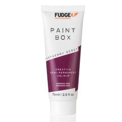 Pusiau ilgalaikiai plaukų dažai Fudge Paintbox Creative Semi-Permanent Colour Raspberry Beret, 75ml kaina ir informacija | Plaukų dažai | pigu.lt