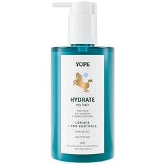 Plaukų kondicionierius Yope Hydrate, 300ml kaina ir informacija | Balzamai, kondicionieriai | pigu.lt