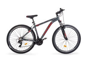 Kalnų dviratis Corelli Via 1.2 29", pilkas / raudonas kaina ir informacija | Dviračiai | pigu.lt