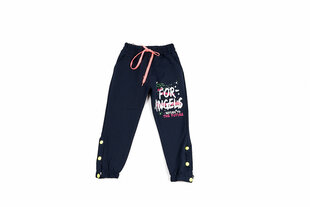 Спортивные штаны для девочек цена и информация | Брюки для девочки, бирюзовые | pigu.lt