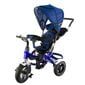 Triratukas - vežimėlis, mėlynas kaina ir informacija | Triratukai | pigu.lt