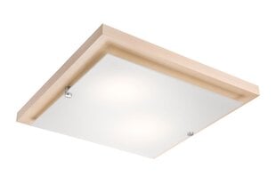 Kvadrato formos lubinis šviestuvas, baltas цена и информация | Потолочные светильники | pigu.lt