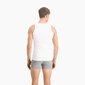 Apatiniai marškinėliai vyrams Puma Basic Tan 935018, 2 vnt kaina ir informacija | Vyriški apatiniai marškinėliai | pigu.lt