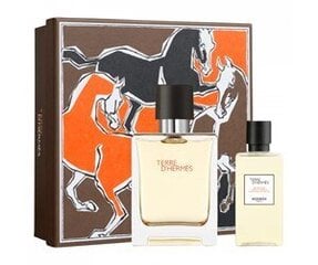 Rinkinys Hermes Terre D'Hermes vyrams: tualetinis vanduo EDT 50 ml + dušo želė 40 ml kaina ir informacija | Kvepalai vyrams | pigu.lt