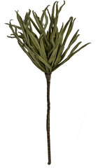 Ветка из искусственной травы цена и информация | Искусственные цветы | pigu.lt